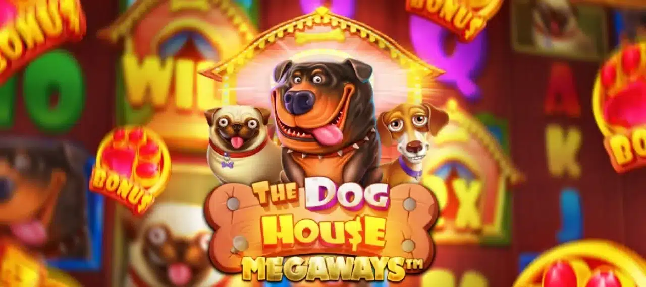 dog house dice show
